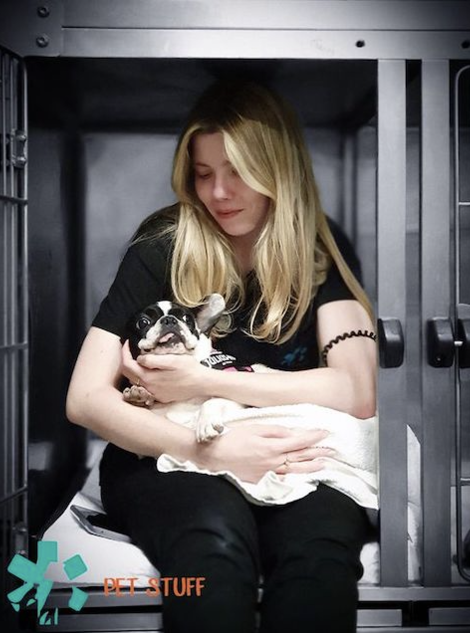 Pet Stuff, un spital veterinar privat deschis nonstop