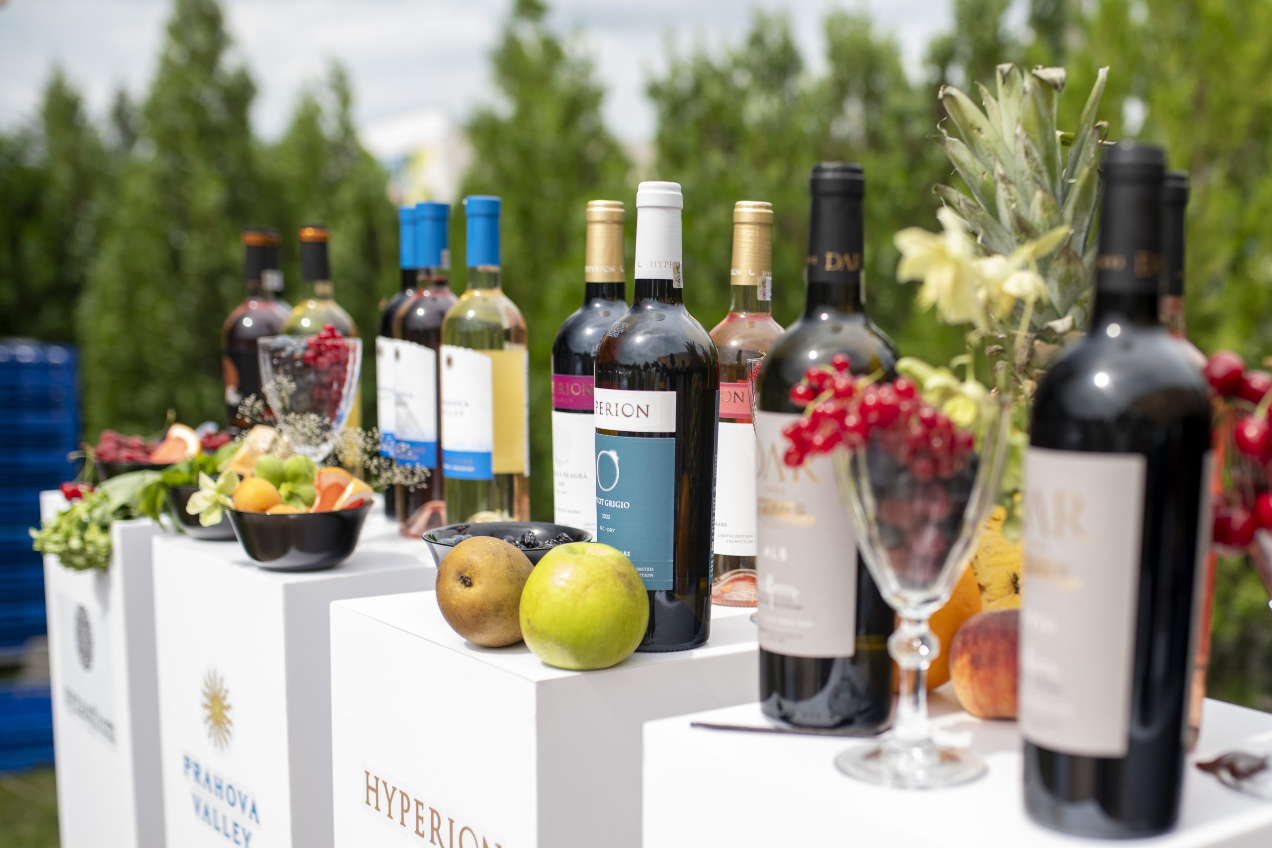 Crama Domeniile Alexandrion Rhein 1892 şi-a deschis portile şi a lansat gama de vinuri DAR 1892